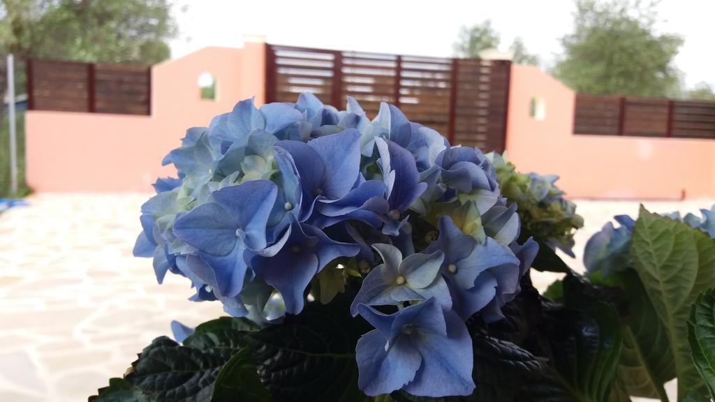 Amaryllis Boutique Apartments Moraitika Zewnętrze zdjęcie